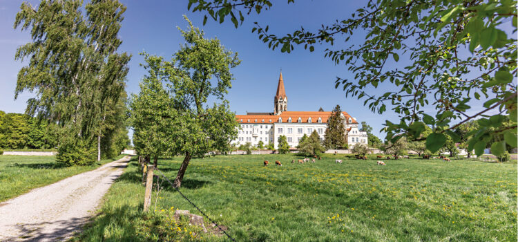 Oasentage für Betriebs-/Personalräte und Mitarbeitervertretungen