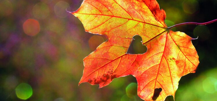 Arbeit & mentale Gesundheit